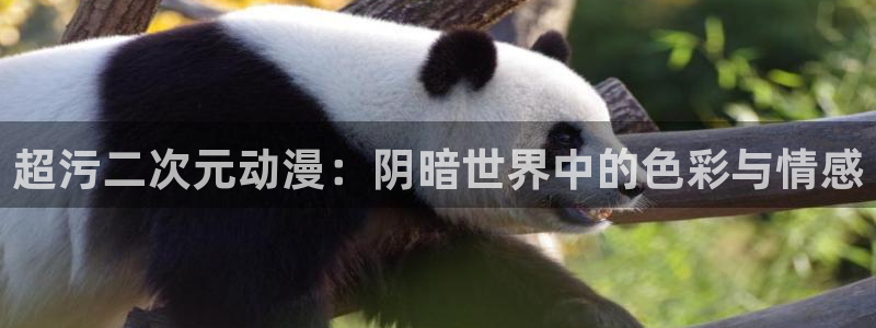 古古漫画屋：超污二次元动漫：阴暗世界中的色彩与情感